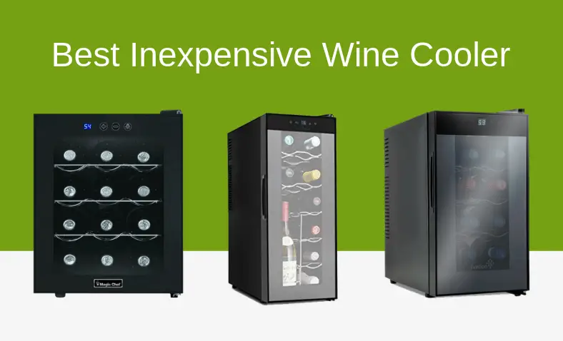 Best Inexpensive Wine Cooler