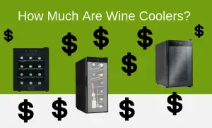 How Much Are Wine Coolers