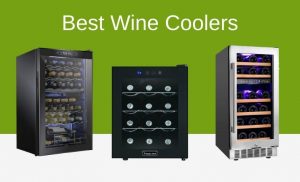 Best Wine Coolers 2021