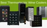 Best Thermoelectric Wine Coolers 2021
